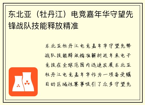 东北亚（牡丹江）电竞嘉年华守望先锋战队技能释放精准