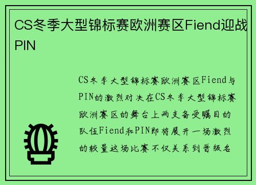 CS冬季大型锦标赛欧洲赛区Fiend迎战PIN